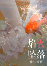 焰火坠落（2v2）